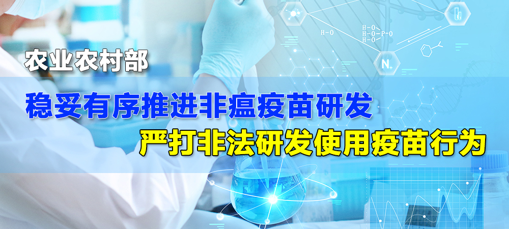 农业农村部：稳妥有序推进非瘟疫苗研发，严打非法研发使用疫苗行为！