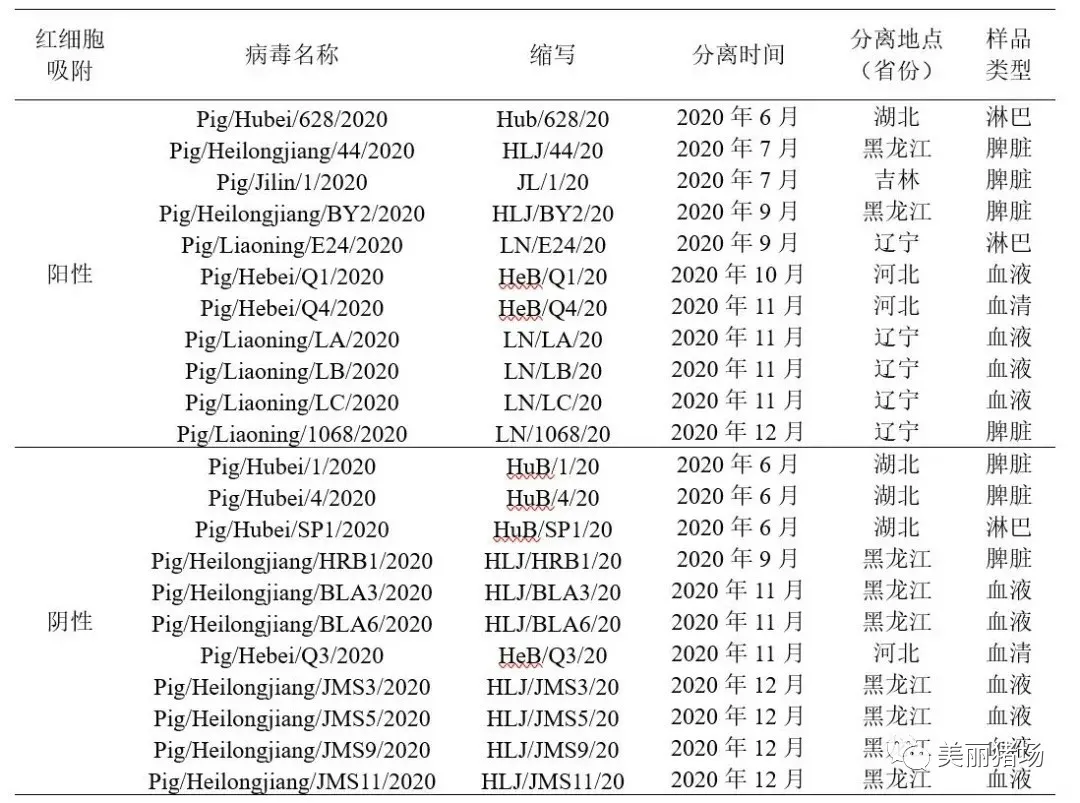 非洲猪瘟病毒变异