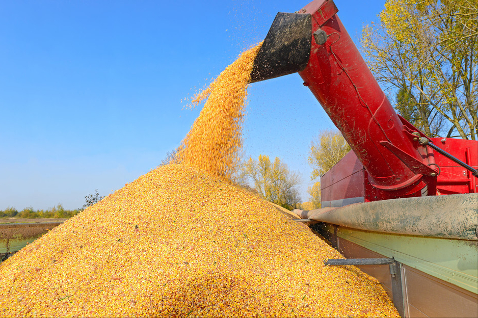 3月2日饲料原料：豆粕反弹“力不从心”，春耕到来，玉米有变？