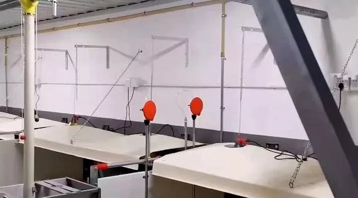 智能化生猪养殖基地