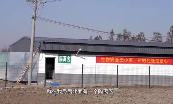 智能化生猪养殖基地