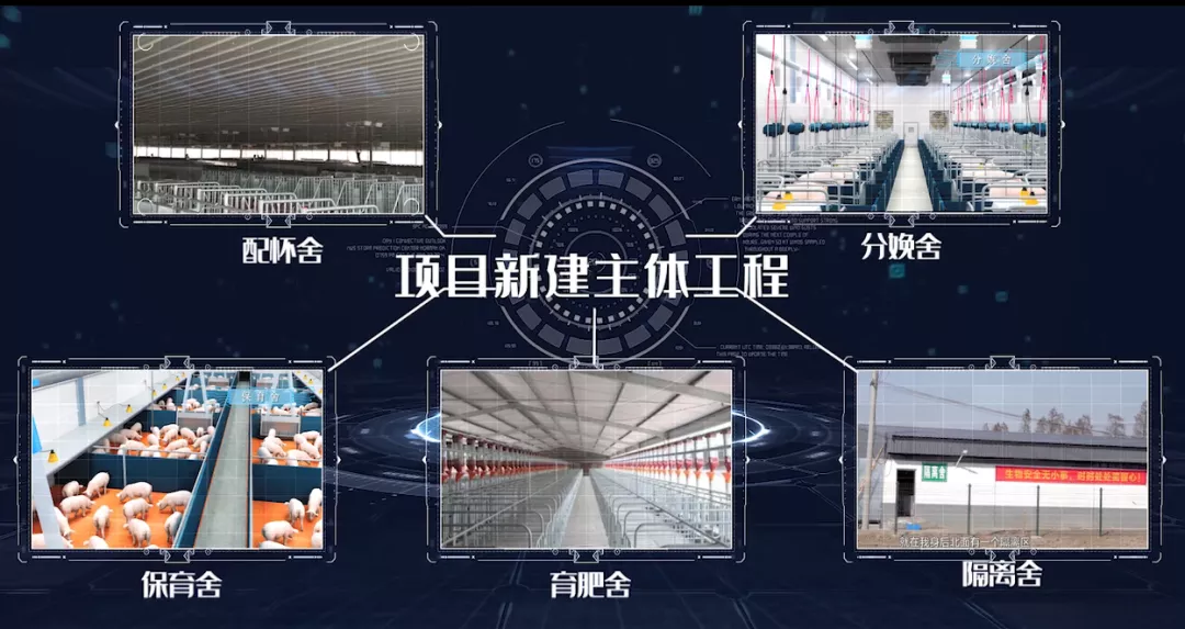 智能化生猪养殖基地