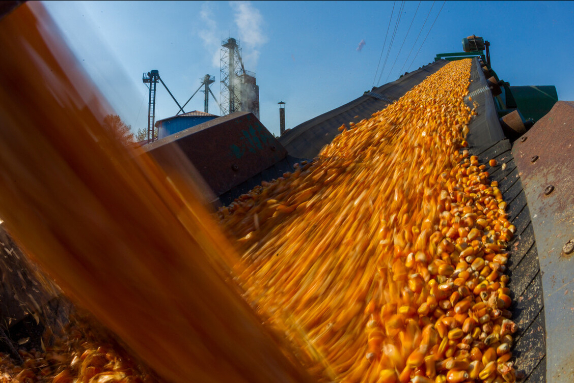 3月4日饲料原料，豆粕跟跌，小麦涨价，玉米市场风险无法逆转？