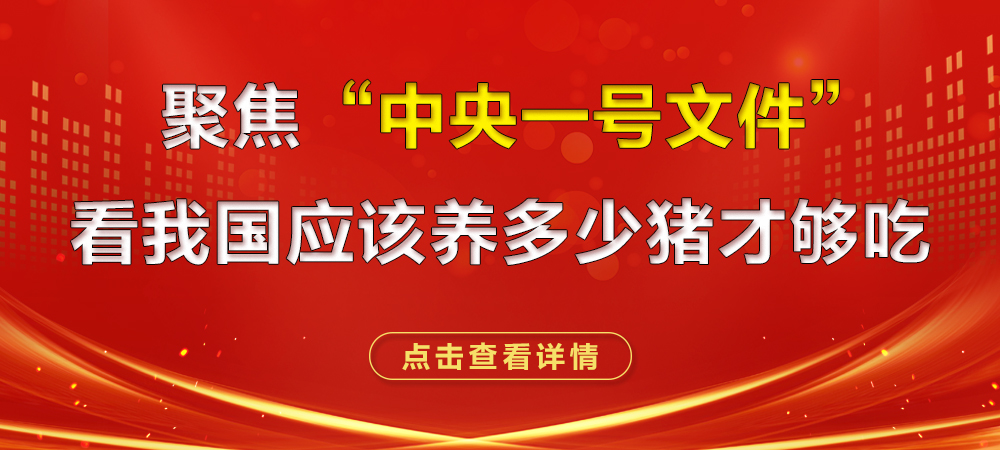 聚焦“中央一号文件”看我国应该养多少猪才够吃！