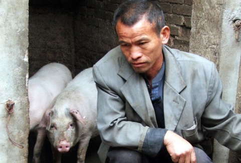 养猪业强行“变异”，神秘的涨价潮，成就了真正的“猪富翁”？