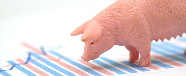 关于近期生猪状况的一点分析：关于低毒力ASFV株
