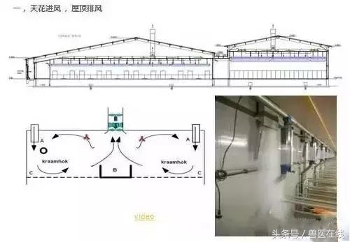 「管理」4种猪舍通风设计，南北干湿都能解决（附图）