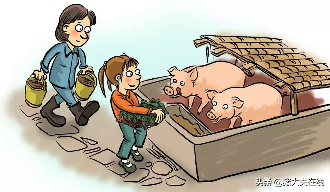 购买仔猪饲料时需要问的8个问题，养殖户要知道