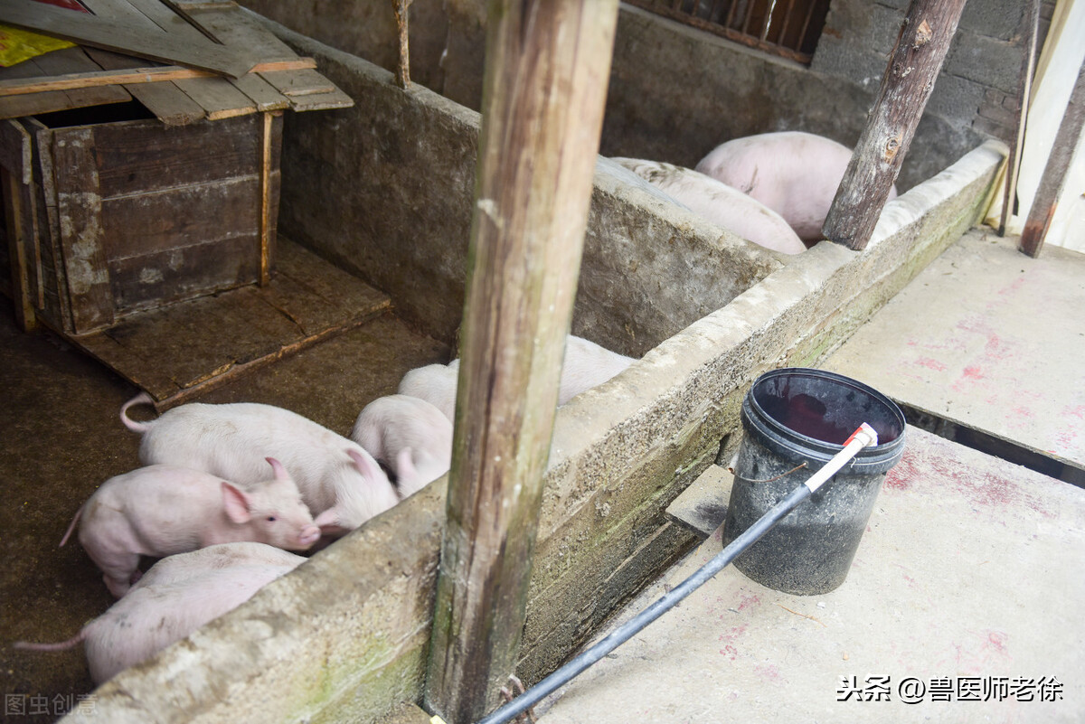 养猪怕非洲猪瘟，猪场消毒最重要，效果好的消毒方法是什么？