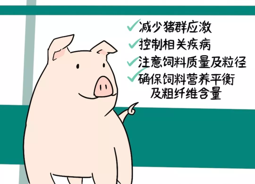 不可忽略的猪场常见病—猪胃溃疡，来看看怎么办