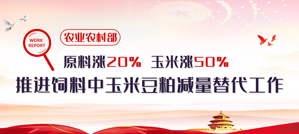 原料普遍涨幅20%，玉米涨幅更高达50%！农业农村部将推进饲料中玉米豆粕减量替代工作
