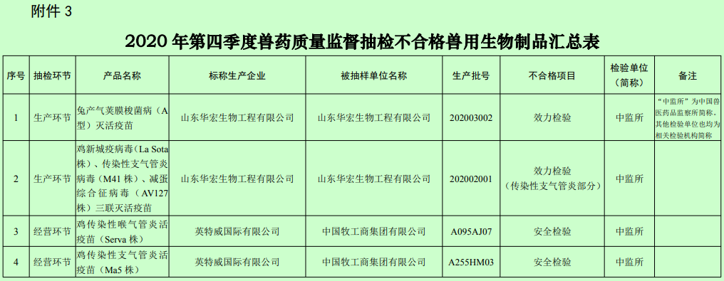 图片12