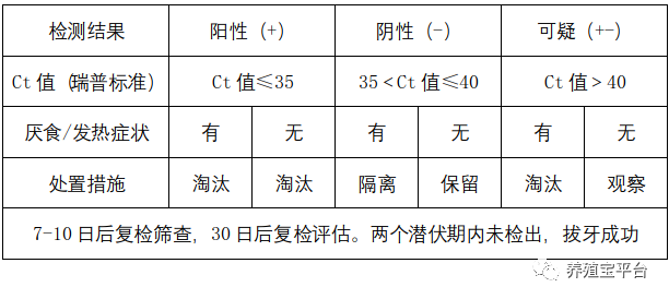 超详细非瘟防控成功案例，精准拔牙中的关键点，值得养猪人关注