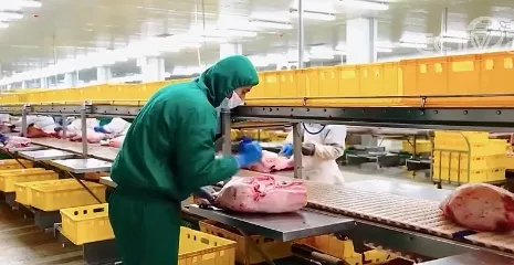 3月20日生猪价格“