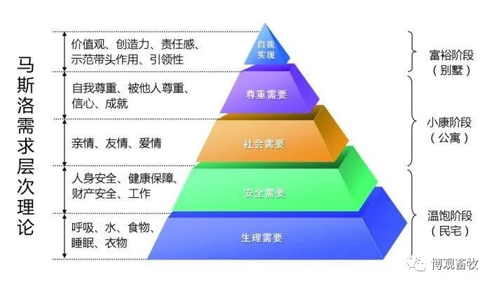 马斯洛层次效应