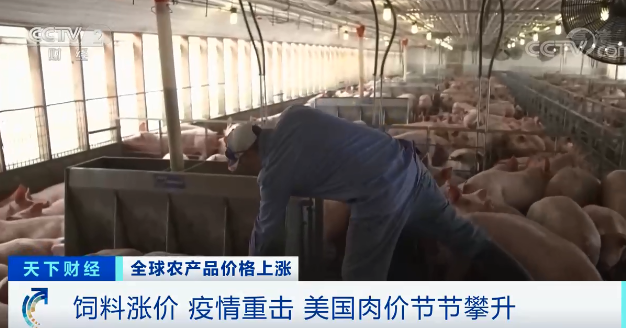 高粱大涨82.1％、玉米大涨45.5%！全球肉类等食品价格上涨，有地方涨幅惊人！