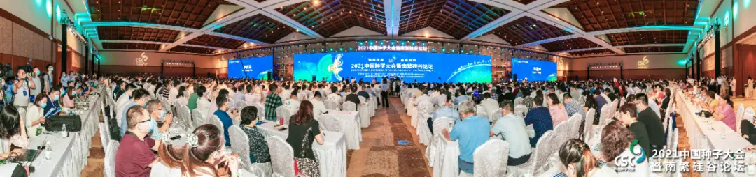 新闻联播对大会进行报道