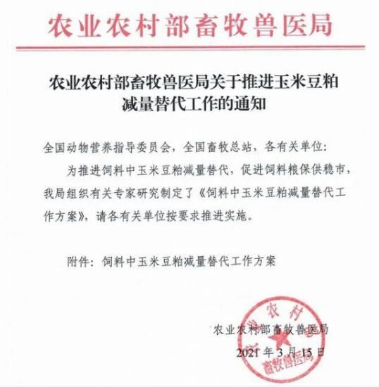 玉米豆粕价格