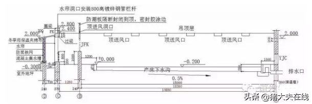 1200头母猪场规划设计方案图纸，很全很经典