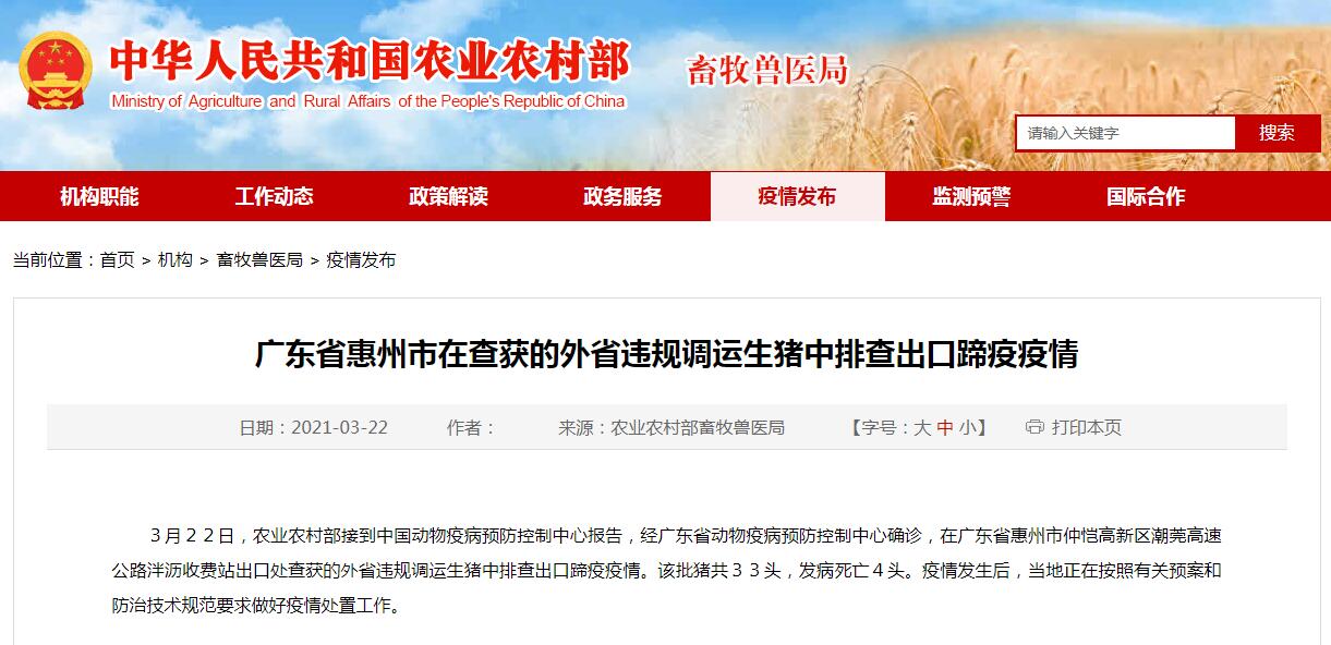 广东惠州：第1起猪口蹄疫疫情...外省违规调运生猪中排查出口蹄疫疫情！