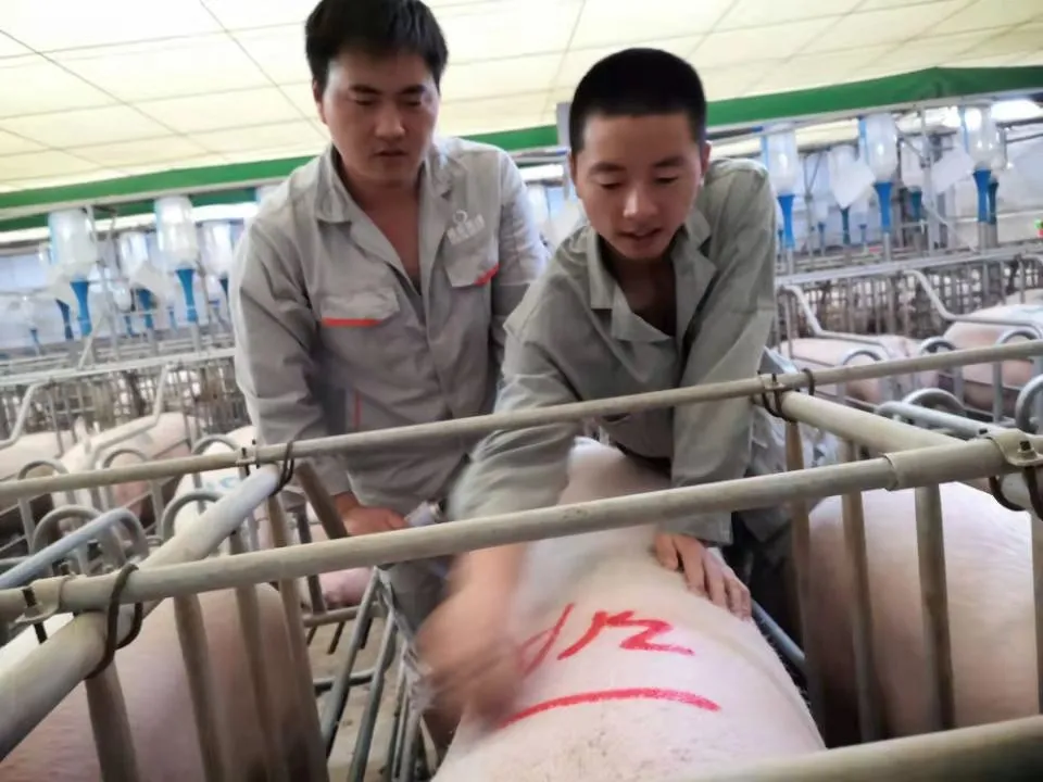 应届生求职，专业对口重要吗