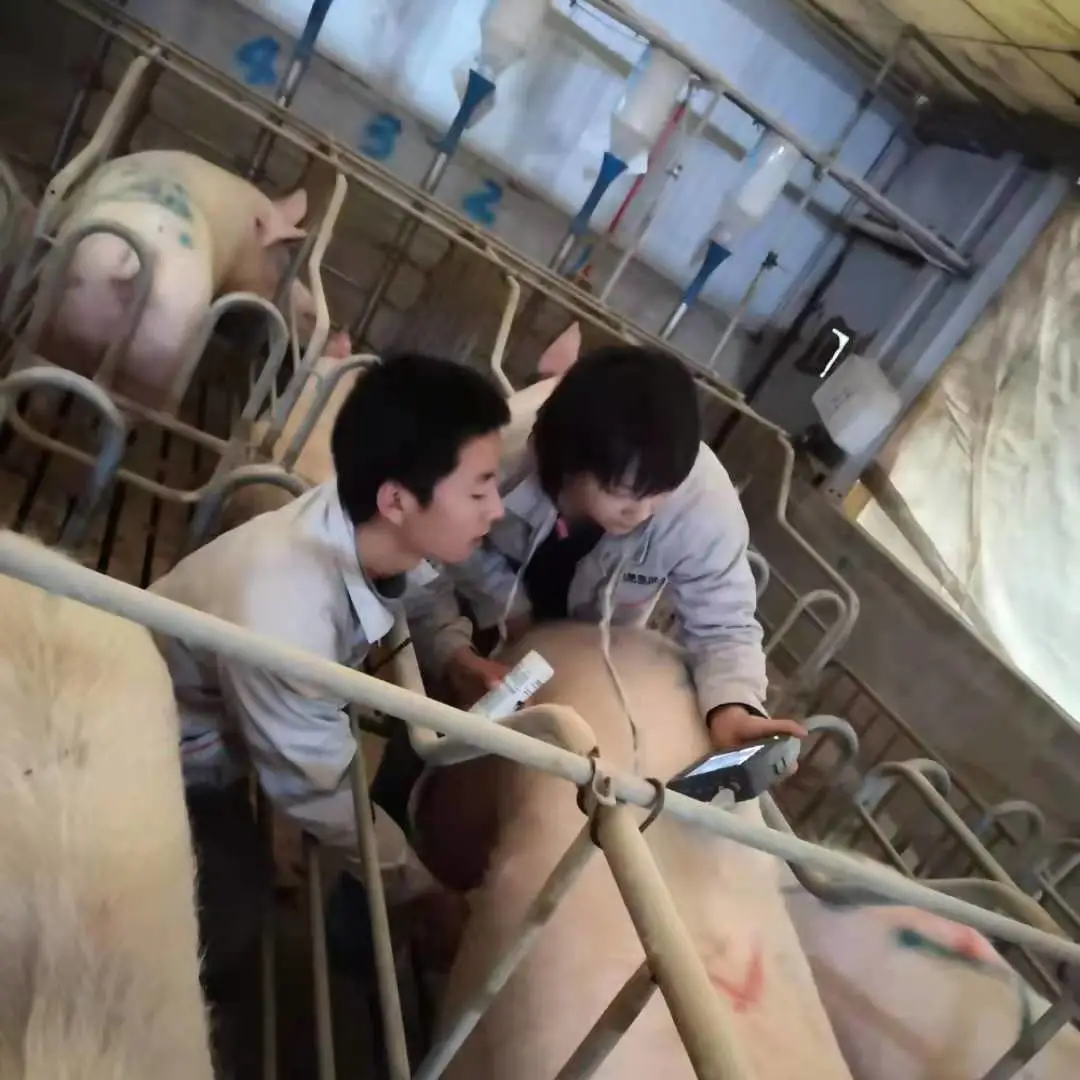 应届生求职，专业对口重要吗