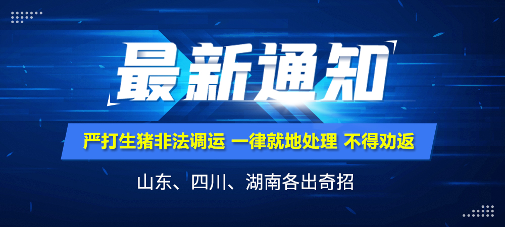 严打生猪非法调运，一律就地处理，不得劝返！山东、四川、湖南各出奇招