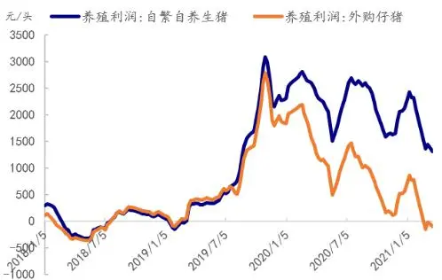 区域牛猪集中出栏，短期供给宽松