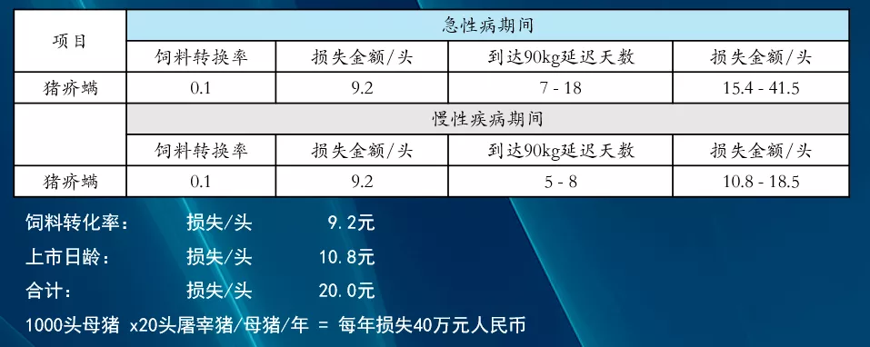 猪疥螨感染造成的损失