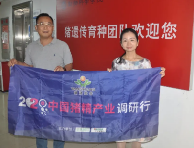 猪精市场竞争将趋于激烈！张守全：头部企业搞育种、腰部企业做选配，“华系种猪”方才有望！