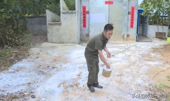 雨季非瘟防控要加强，用水消毒管理要落实