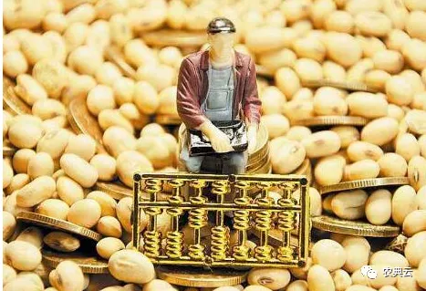 全球粮食价格上涨，国内玉米跌破1.5元/斤 豆粕回落800元/吨？