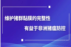 干货：维护猪群黏膜的完整性有益于非洲猪瘟防控