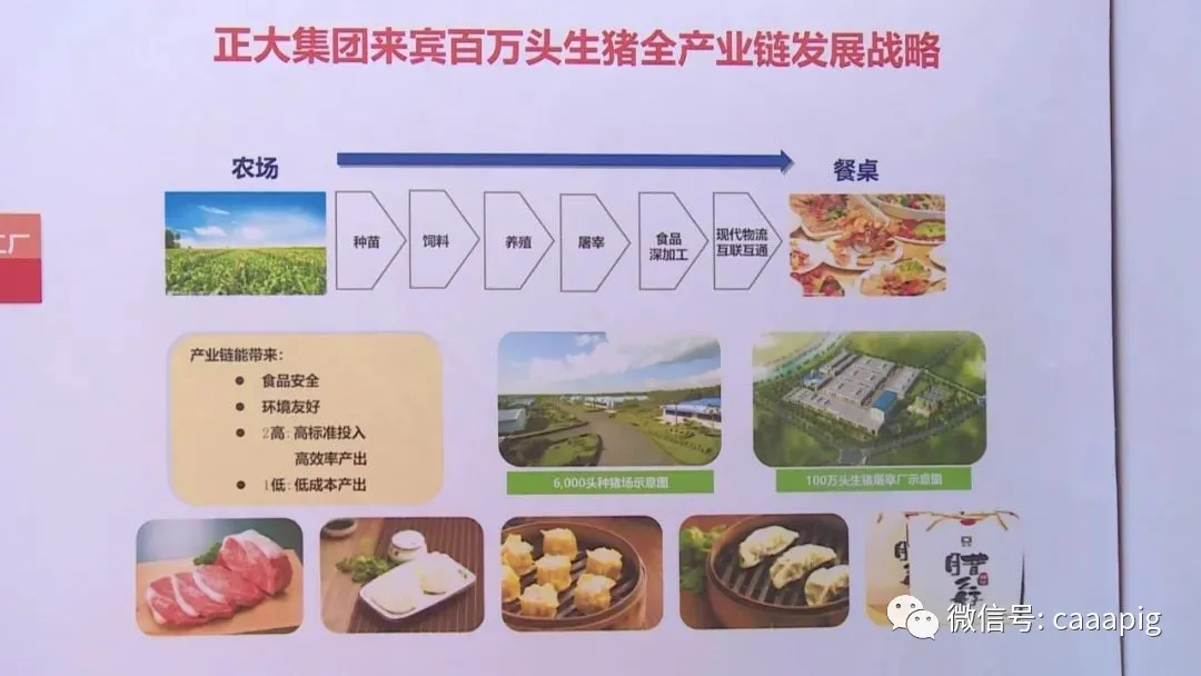 正大集团：总投资34亿元！来宾百万头生猪全产业链项目开工