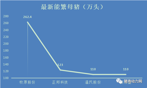 牧原、温氏、正邦、新希望等四大猪企能繁母猪存栏对比