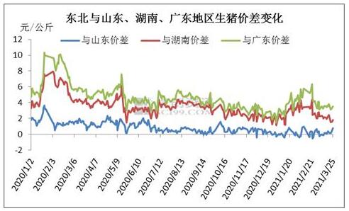 2021年一季度东北生猪调运形式分析