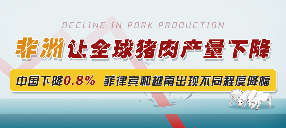非洲让全球猪肉产量下降？中国下降0.8%、菲律宾和越南出现不同程度降幅...