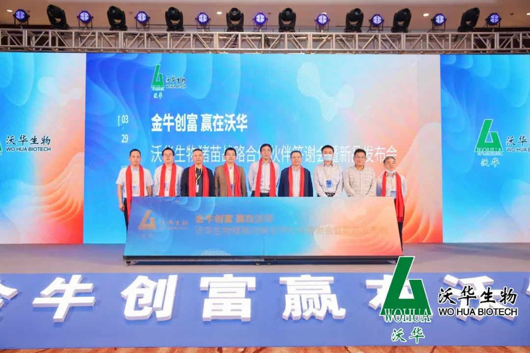 新品发布会