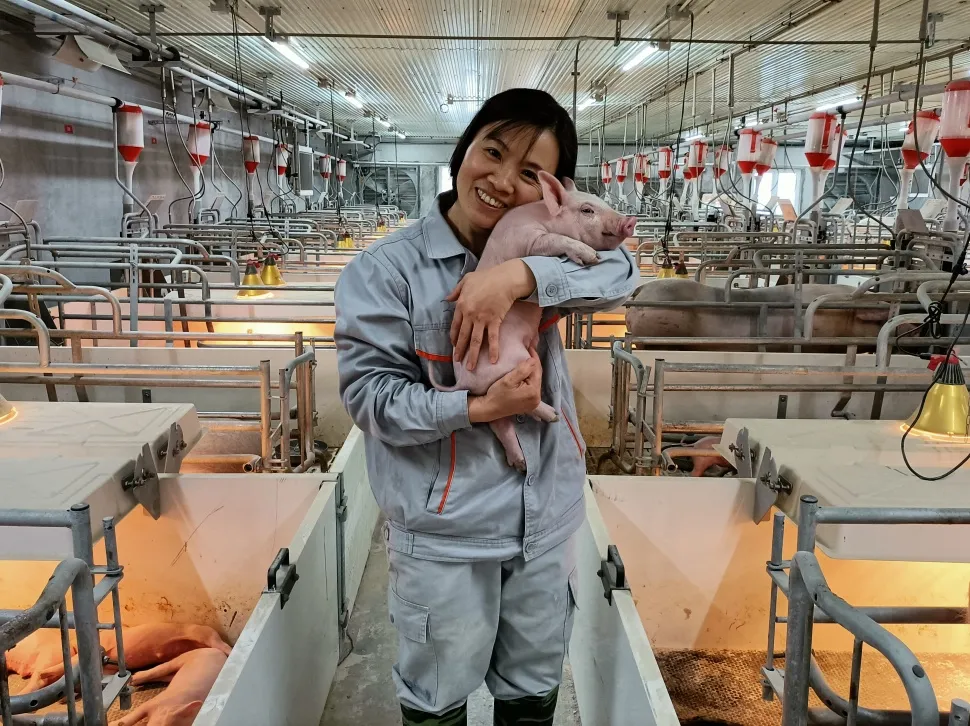 德康：穆仁勤的成长之路，从家庭主妇到“接生一姐”的转变！