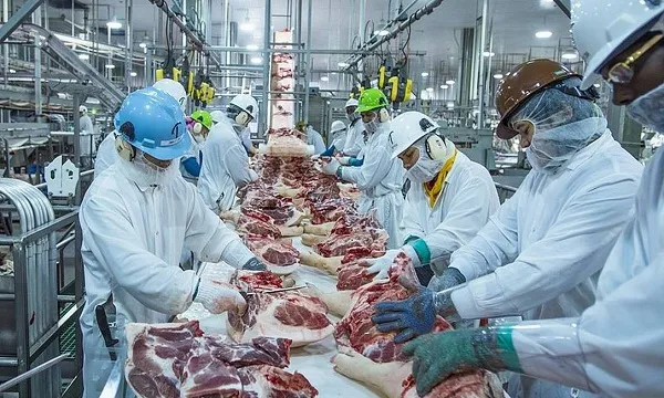 中国市场潜力巨大！巴西肉厂增加对华销售！野心不止于此...