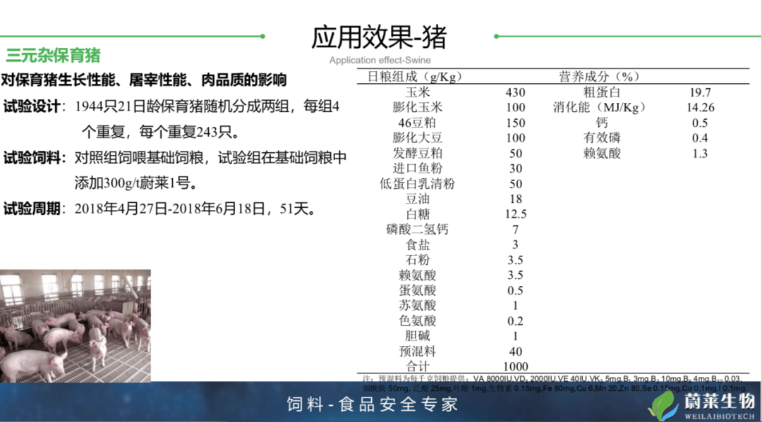 禁抗