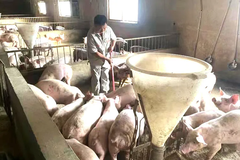 德康农场：德康给了我从零开始的信心！