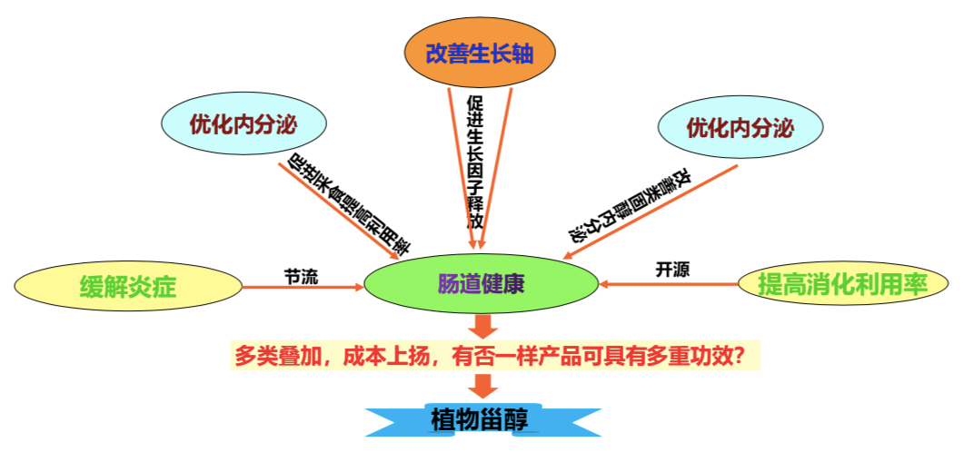 禁抗