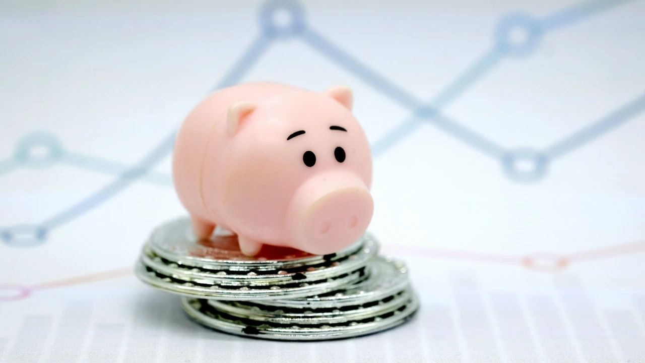 猪价连跌9周，跌幅超25%！未来生猪养殖头均盈利为655.04元？