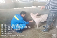 成长之旅 | 路自己选，人生自己走，是金子总会发光！