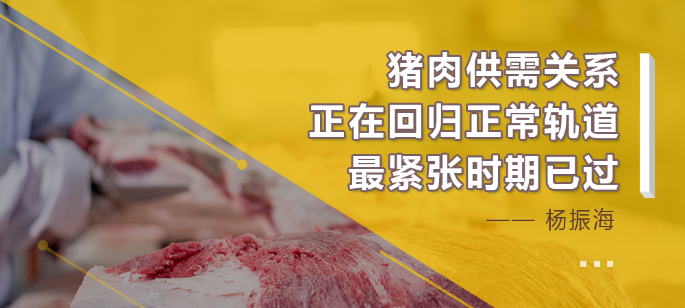 杨振海：猪肉供需关系正在回归正常轨道，最紧张时期已过！