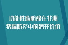 杨博：功能性脂肪酸在非洲猪瘟防控中的潜在价值