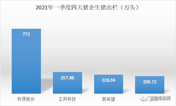 四大猪企一季报新鲜出炉！利润明显缩水，谁的业绩最亮眼？