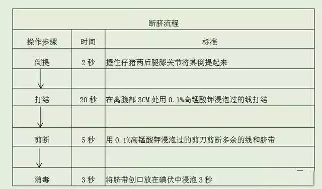 断挤方案