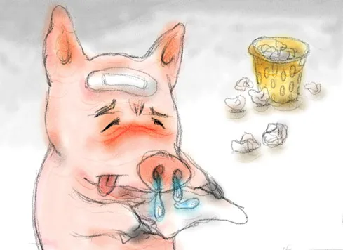 内部生物安全是猪场控制地方性疾病的关键